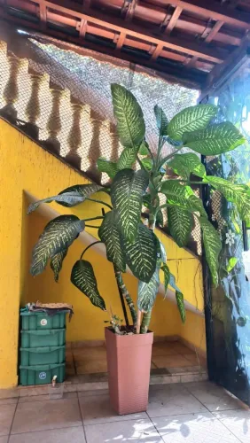 Planta comigo ninguém pode Gigante 2,5m