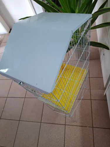 Gaiolas grande e pequena