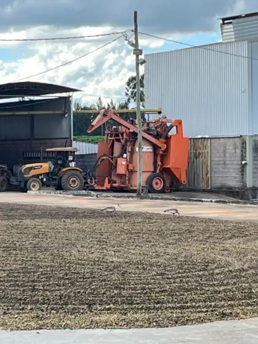 Operador de Máquinas Agrícolas-Tratorista-Safrista