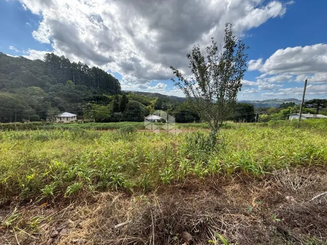 Terreno em Bento Gonçalves - Vale Dos Vinhedos para parreiras ou construção