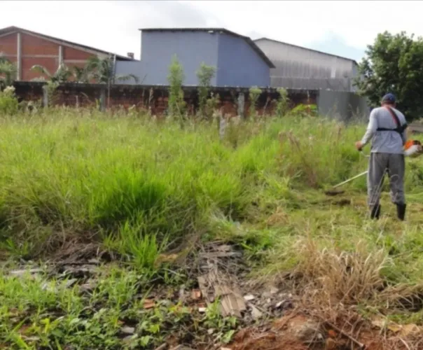 Limpeza de lote terreno casa etc