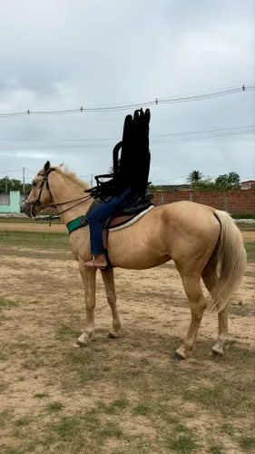 Cavalo de Esteira