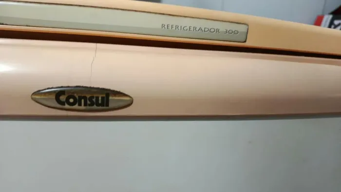 Geladeira consul 300