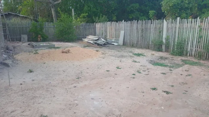 Terreno no área verde 8x18 venda com urgência