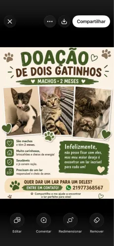 Doação