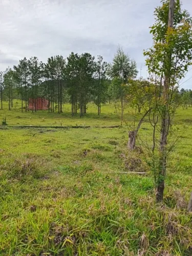 Terreno com 2 hectares no Tambaú Bofete - SP