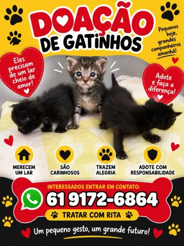 Doação. Urgente ?