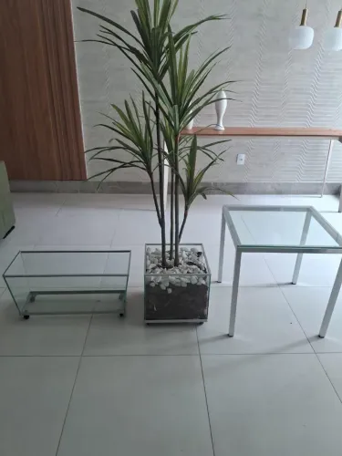 2 vaso de planta + mesa de vidro
