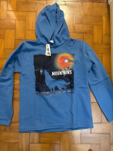 Moletom Juvenil Brandili com Capuz Tam. 16 - Novo com Etiqueta
