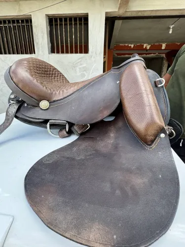 Sela australiana tamanho 16