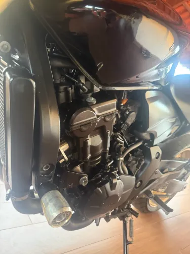 Hornet 600
