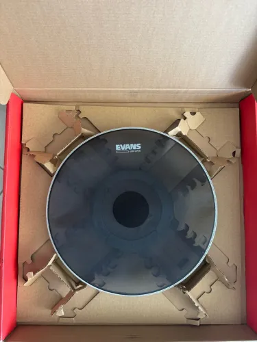 Pele muda de bateria Evans dB One - Surdo 16 (TT16DB1)