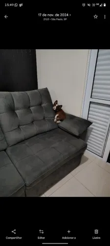 SOFA RETRATIL MOLAS ENSACADAS 