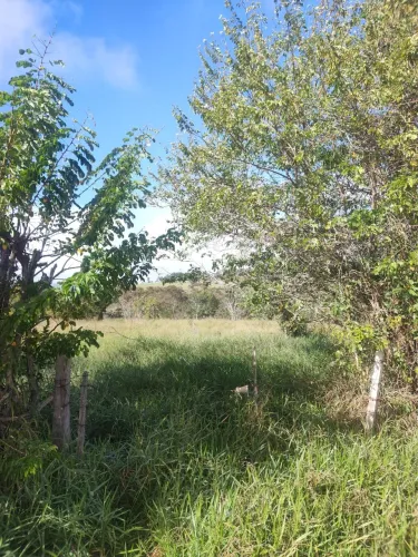 TERRENO EM BOFETE SP. CAMPO ALEGRE 1 20.000M2 COM RIACHO PASSANDO NA DIVISA EXCELENTE LOCA