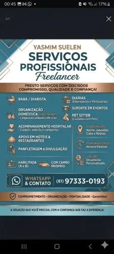 Freelancer 