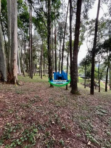 Chácara com 2 dormitórios à venda, 7000 m² por R$ 795.000 - Tanque Grande - Guarulhos/SP