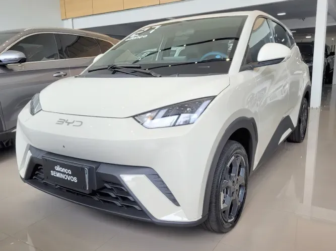 BYD Dolphin Mini (Elétrico) 2027
