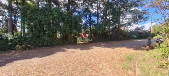 Lote raro no Retiro das Pedras