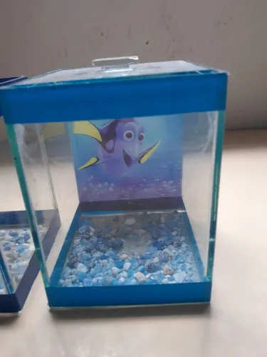 Aquário peixe betta