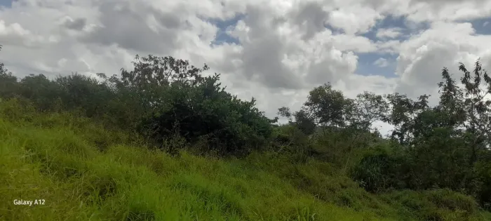 ÓTIMO TERRENO NO SÍTIO TABULEIRO COM MAIS DE UMA HECTARIA.