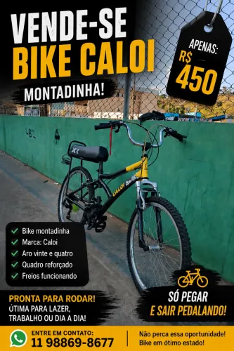 Bike montadinha aro 24