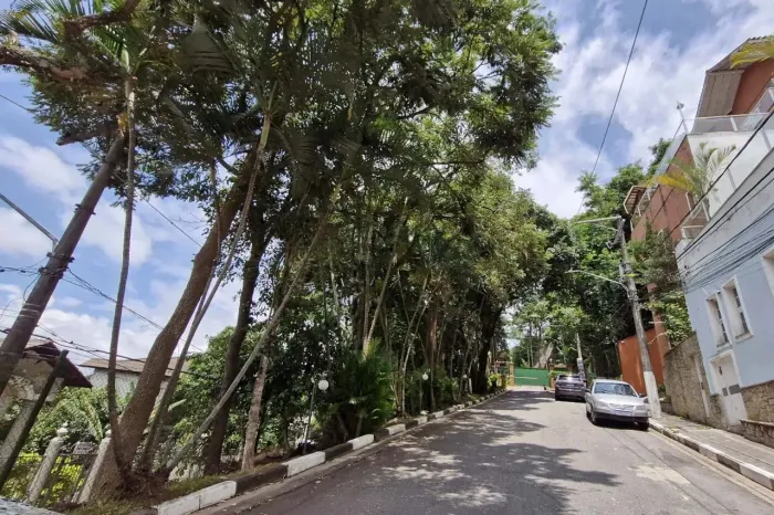 Lote em condomínio para venda em Vila Albertina , 338m²