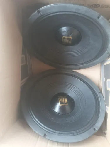 Auto falante woofer Detoner 10 polegados