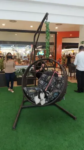 Cadeira Suspensa Teto Escritório para Espaço Instagramavel 