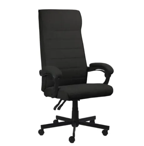 Cadeira de Escritório Ergonômica Pcyes Magnus Black - WZetta