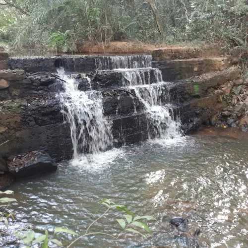 Terreno De 4 mil metros com cachoeira em mateus leme 