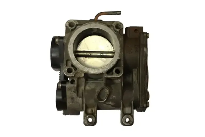 Corpo de borboleta tbi corsa