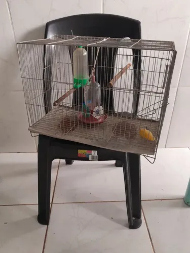 Gaiola para pássaros