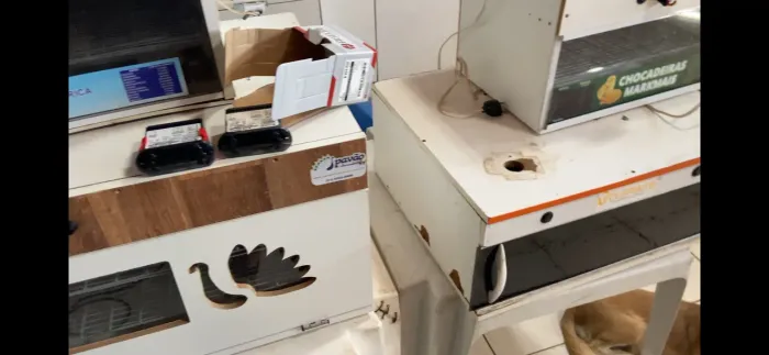 manutenção e reparo  ? em Chocadeiras