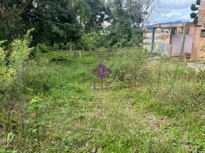 Terreno para investidores no bairro São Cosme, em Campina Grande do Sul.