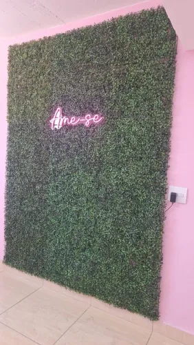 Placa luminaria, Ame-se