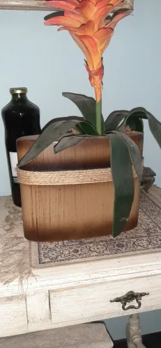 Vaso Decorativo com Planta Artificial 