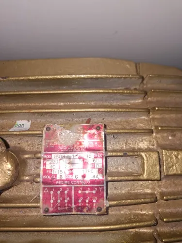 Motor 15cv