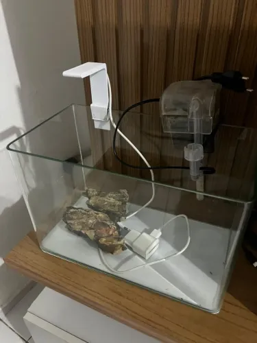 Aquário curvo de 12 litros