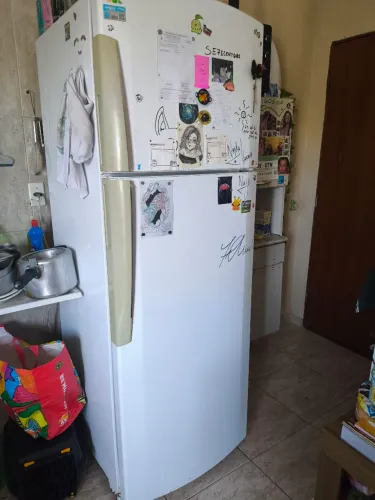 Geladeira, Fogão Cooktop, armário, estante e rack.