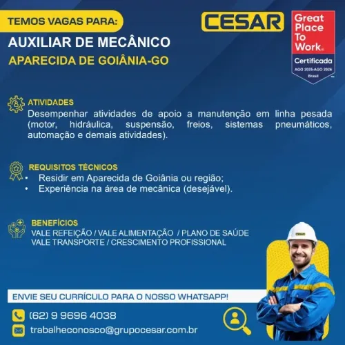 Auxiliar de Mecânico