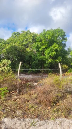 Sítio, localizado no PV Ouricuri, Estância-Se fica há 12 km do centro da cidade