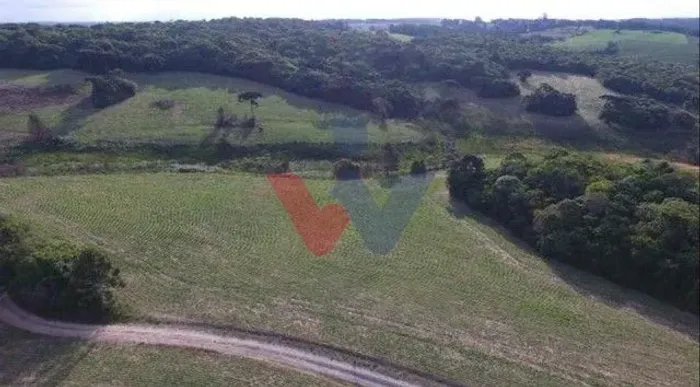 Chácara Fazenda na Lapa-PR Paraíso Rural de 28 Alqueires à Venda