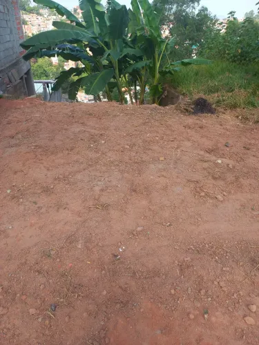 Terreno Francisco Morato