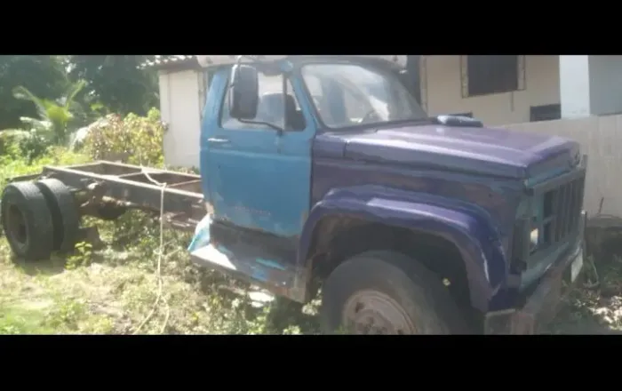 Caminhão D11000