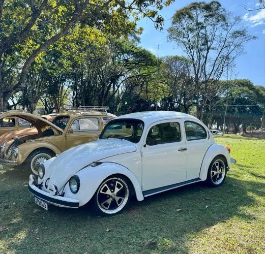Volkswagen Fusca Fusca (gasolina) 1994