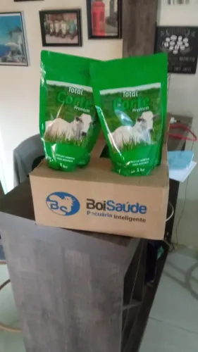 Mais arrobas no seu boi