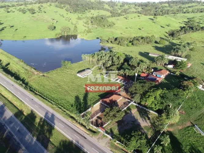 Fazenda 20,58 Alqueires (99,61 Hectares) Professor Jamil - GO