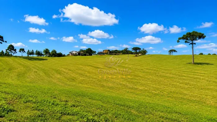 Lapa/ Balsa Nova, 45 alqueires ,110,31 hectares , planta 16 alqueires