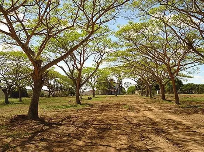 Lotes com 200m² em Conceição da Feira