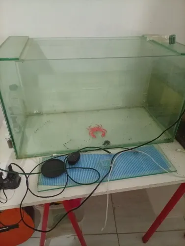 Aquário 